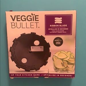 Veggie Bullet Blade